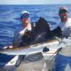 Sailfish caught dottom fishing for Grouper in Sarasota 8/ 2007'