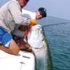 Scott Oman with a Sarasota beach Tarpon 7/ 2007'