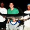 Sarasota Broadbill Swordfish 2007'