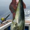 Ron Capps with a 38 pound Bull Dolphin, Sarasota 8/ 2007'