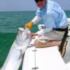 Tarpon Release 5/ 2007'