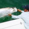 Tarpon boatside 5/ 2007'