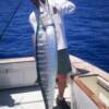 Captain Chris with a 54 pound Sarasota Wahoo 6/ 2007'
