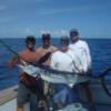 Sarasota White Marlin 2006'
