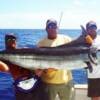 TIGHTLINES crew Capt. Stacy, Capt. Roy, and Capt. Chris with a Sarasota Blue Marlin 2006'