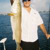 Big Sarasota Bay Redfish