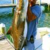 Capt. Stacy holding a 66 pound Cobia