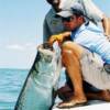 Conrad Parks releases another Longboat Key Tarpon