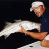 Ron Capps with a 35" night Snook, Sarasota Bay