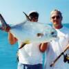 Summer Permit on the reef