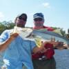 Ed Formaneek with a 13 pound Sarasota Bay Snook