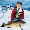 Cody Capps with his first Grouper, 31" Gag, trolling Tampa Bay with Dad 12/ 2009'