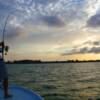 Tarpon Fishing Sarasota FL