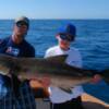 Jake Vennetti and his 50 pound Cobia 3 / 2011'