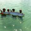 The Chicago Boyz, Braden, Matt, and Mikey putt'n it to the Beach Tarpon of Sarasota!  6 / 2011'