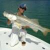 41" Siesta Key Snook, May 2012'