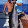 Will Froelich, Capt. Chris Seger with 154.2 pound Yellowfin Tuna caught in Sarasota, FL.  Galati Labor Day Tournament 1st place Tuna 9/2009'