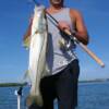 Carmen D'Amico and a nice Sarasota Bay Snook 9/2009'