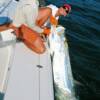 Mary Meadows' first Tarpon 6/2009'