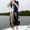 Lucas Smith and a nice 28' Snook in Sarasota Bay 4/2009'