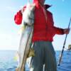 Howard Silver with a 16 pound Snook, Sarasota Bay 3/2009'