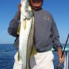 Mike Silver with a nice 33" Snook 3/2009'