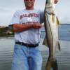 Bruce Barrie jumped overboard to untangle his Snook in the shallows of Sarasota Bay 3/2009'