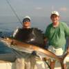 Sarasota Sailfish