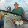 Nice Wahoo