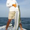 Bill Armington with a Longboat Key Tarpon 6/ 2008'